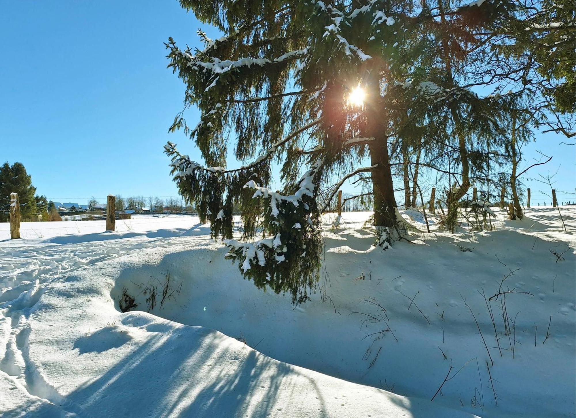 Ferienhaus Am Nationalpark Eifel Dreiborn 外观 照片